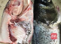 鱼头豆腐汤的做法图解1