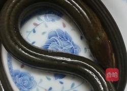 清蒸野生黄鳝泥鳅的做法图解1