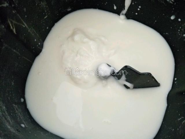首先把牛奶 淡奶油和自制酸奶放在面包机里 没有水哦 全部都是奶制品