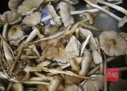 鸡枞油的做法图解1