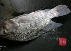 红烧鱼的做法图解2