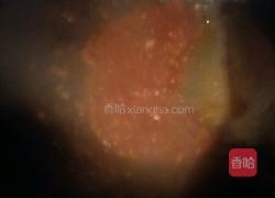 家常披萨的做法图解9