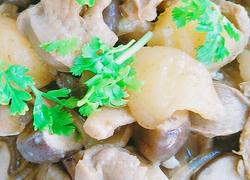 珍心蘑菇炖土豆