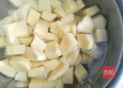 咖喱土豆的做法图解4