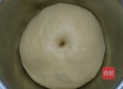 长辫子面包(波兰种)的做法图解7
