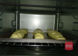 长辫子面包(波兰种)的做法图解12