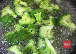 蒜蓉西蓝花的做法图解3