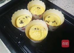 巧克力乳酪蛋糕的做法图解14