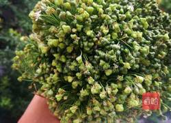 韭菜花拌剁椒的做法图解2