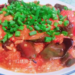 红烧双茄（茄子+番茄）的做法[图]