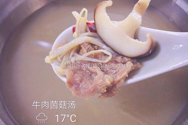 牛肉菌菇汤
