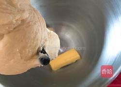 埃曼塔奶酪吐司的做法图解8