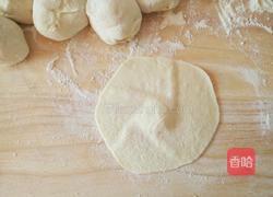 香菇胡萝卜猪肉包子的做法图解18