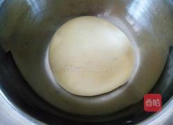 薄底烤鸡蘑菇披萨的做法图解1