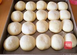 淡奶油小餐包的做法图解15