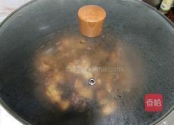 土豆烧鸡的做法图解11