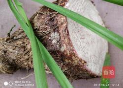 香芋蒸饺的做法图解1