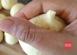 玉米面菜团子(酸菜猪肉馅)的做法图解17