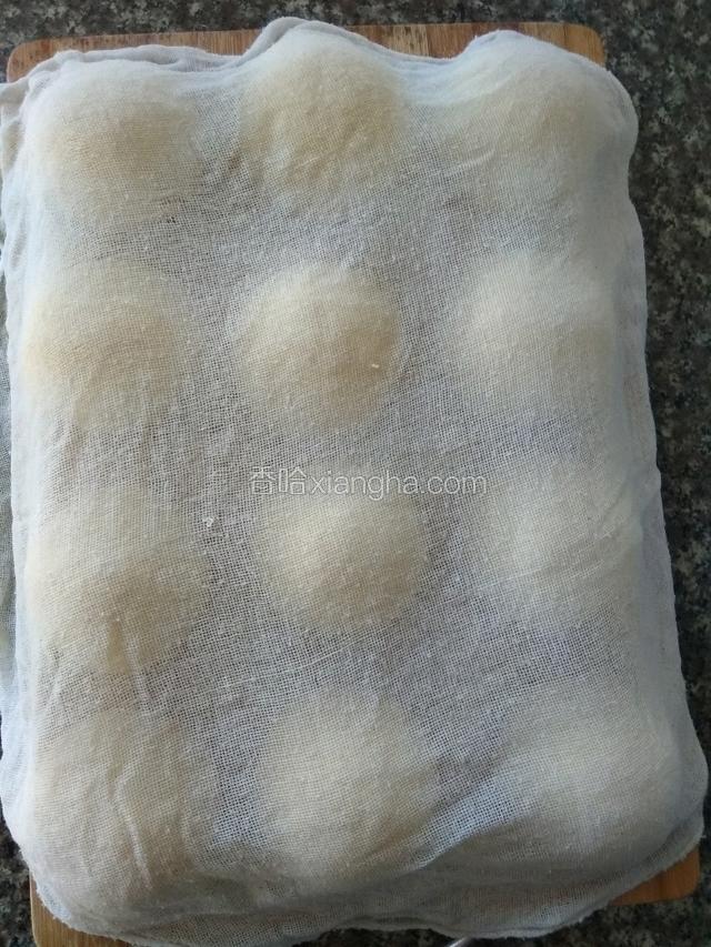 盖上湿纱布，醒发30分钟！