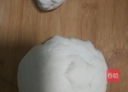 史上最喜感熊猫豆沙包的做法图解3