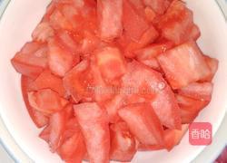 西红柿辣子炒茄子的做法图解2