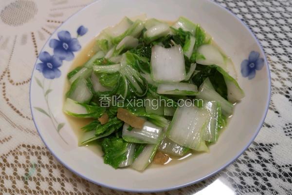 毛白菜
