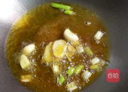 炖鱼的做法图解4