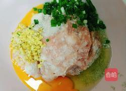 萝卜丸子汤的做法图解1