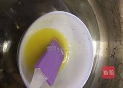 蓝莓芝士蛋糕(免烤)的做法图解3