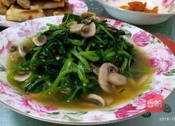 蘑菇清炒鸡毛菜的做法图解3