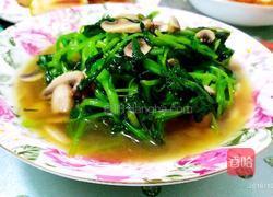 蘑菇清炒鸡毛菜的做法图解6