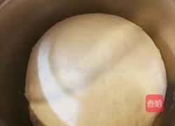 油菜香菇素煎包的做法图解1