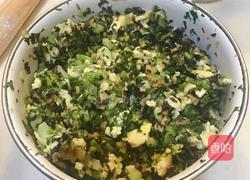 油菜香菇素煎包的做法图解4