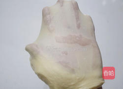 蟹baobao 的做法图解5