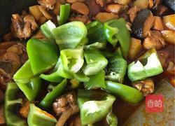 家常大盘鸡的做法图解14