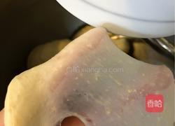 超软椰蓉葡萄干小面包的做法图解8