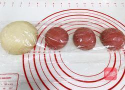 双色椰浆面包的做法图解9