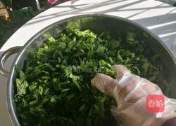 雪里红自制的做法图解6