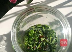 雪里红自制的做法图解7