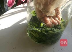 雪里红自制的做法图解8