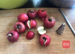 山楂果酱之去核的做法图解8