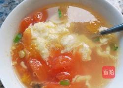 西红柿蛋汤的做法图解5