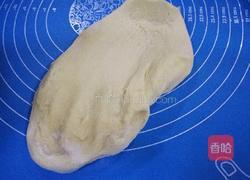 菠萝鸡丁披萨的做法图解5