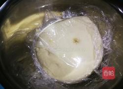 菠萝鸡丁披萨的做法图解7