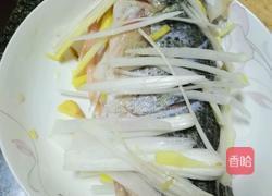 清蒸鲈鱼的做法图解2