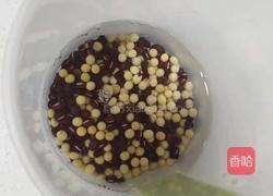 红枣红豆豆浆的做法图解1