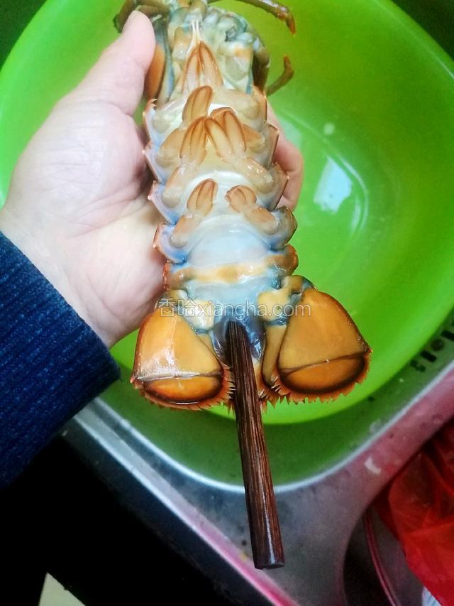 用筷子从尾部插入排尿