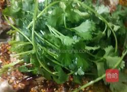 美味可口的酸菜鱼少不了自制泡菜的做法图解6