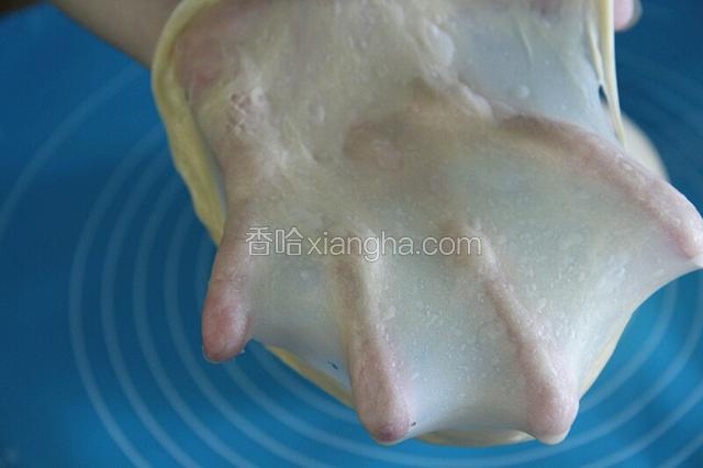 然后加入软化的黄油继续揉到能出一层薄膜