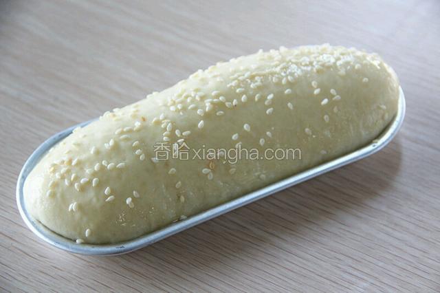 发酵好后取出刷蛋黄液并撒上白芝麻